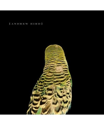 Andrew Bird Armchair Apocrypha Vinyl Record $11.31 Vinyl